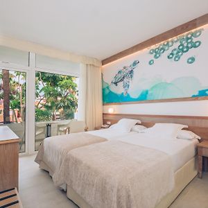 Basic Twin Room